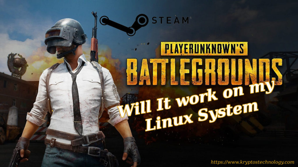 Can PUBG Runs On Linux System