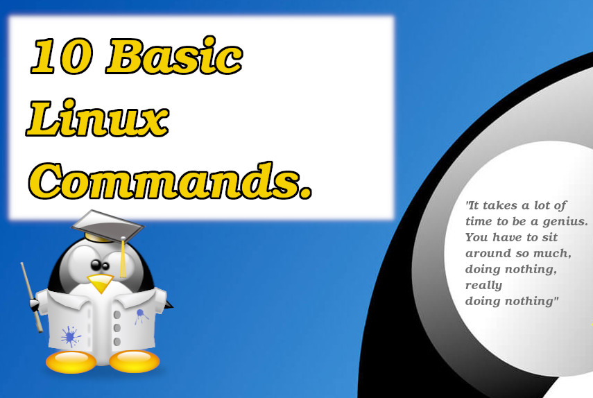 10 Basic Linux Commands